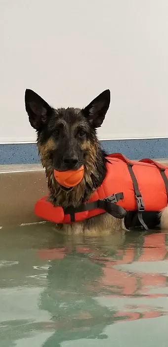 Aquatic Paws Picture 8