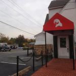 American Bird Company