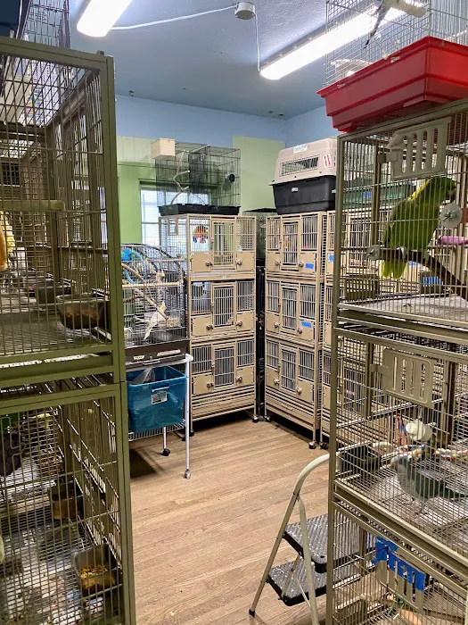 American Bird Company Picture 2