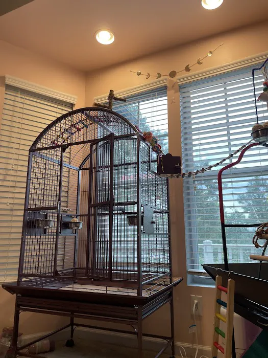 American Bird Company Picture 8