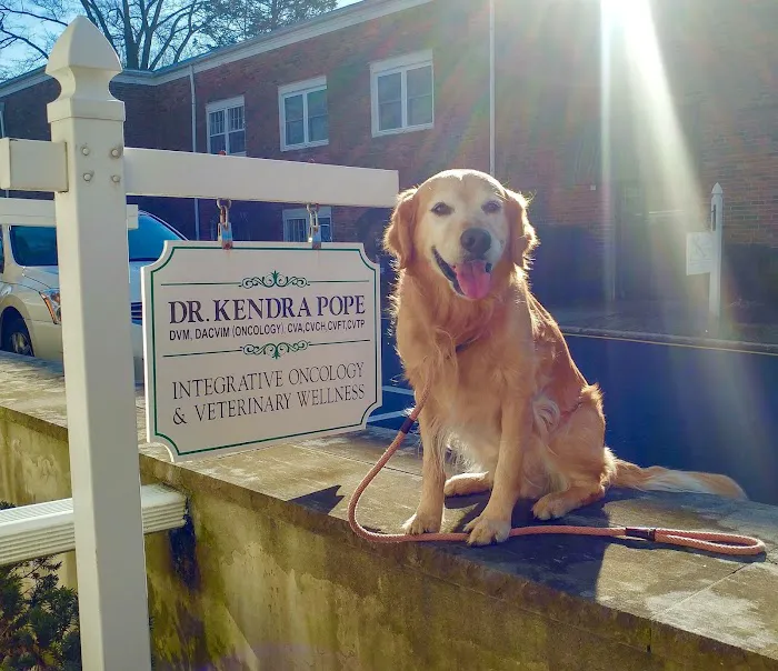 Prism Integrative Veterinary Health Picture 8