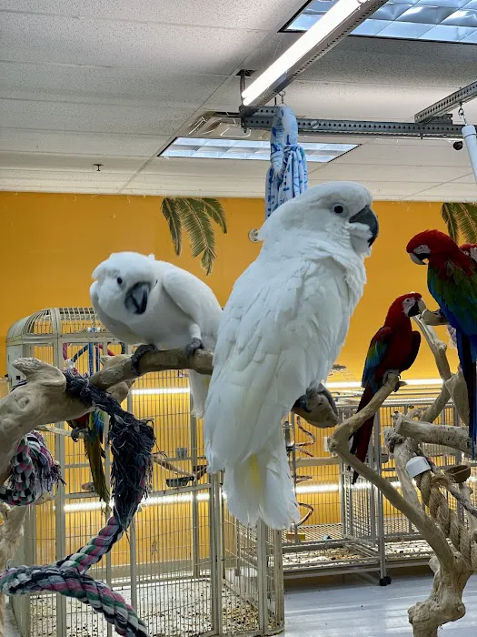 TC Feathers Aviary Picture 4