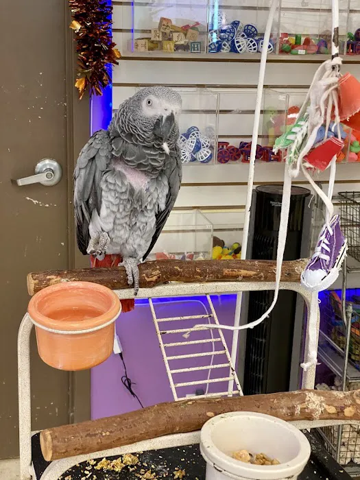 TC Feathers Aviary Picture 10