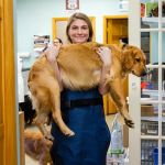 Happy Tails Veterinary Hospital