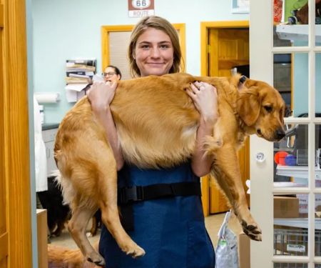Happy Tails Veterinary Hospital