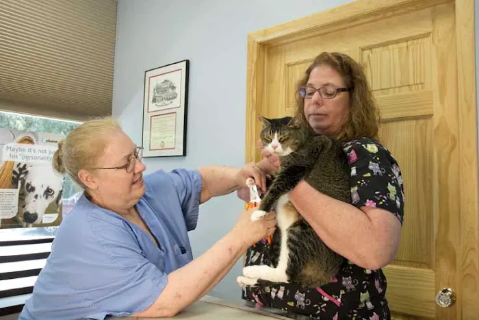Happy Tails Veterinary Hospital Picture 4