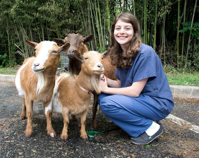 Happy Tails Veterinary Hospital Picture 6