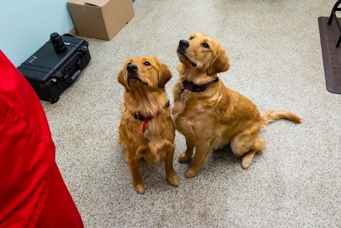 Happy Tails Veterinary Hospital Picture 10