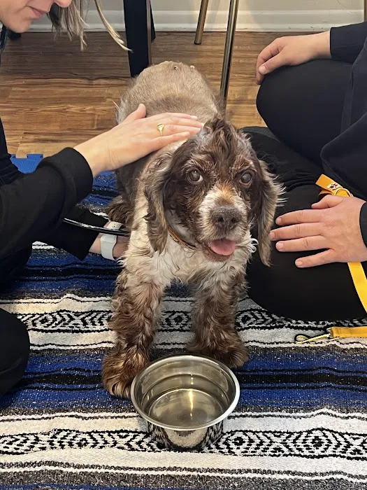 Naturopawthic Veterinary Wellness Center Picture 10