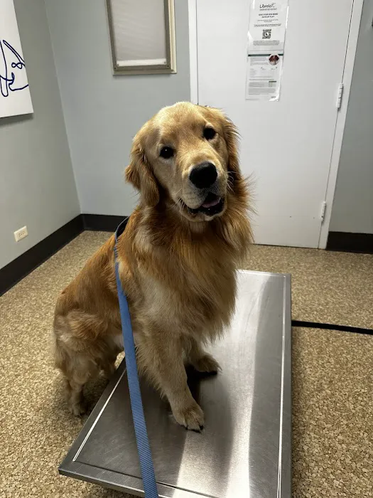 Swimming River Veterinary Hospital Picture 4