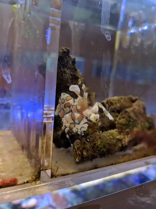 Centreville Aquarium Picture 2