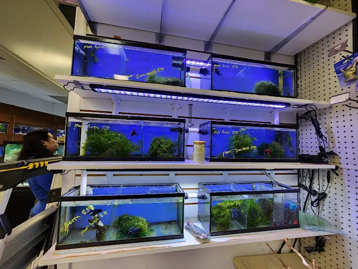 Centreville Aquarium Picture 6