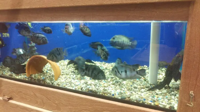 Centreville Aquarium Picture 5