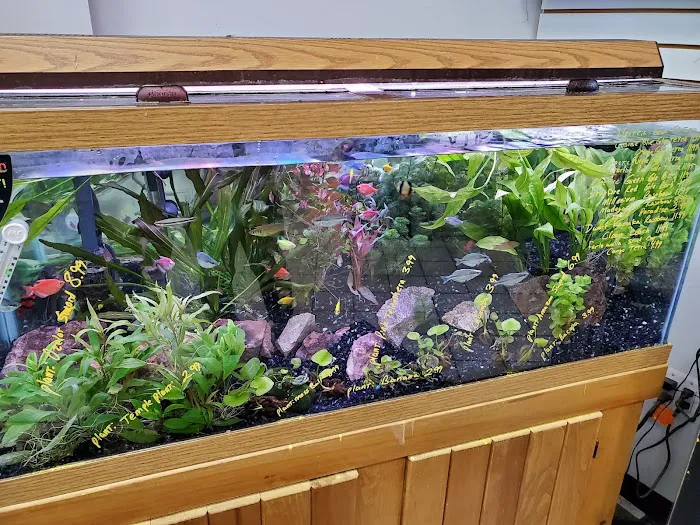 Centreville Aquarium Picture 9