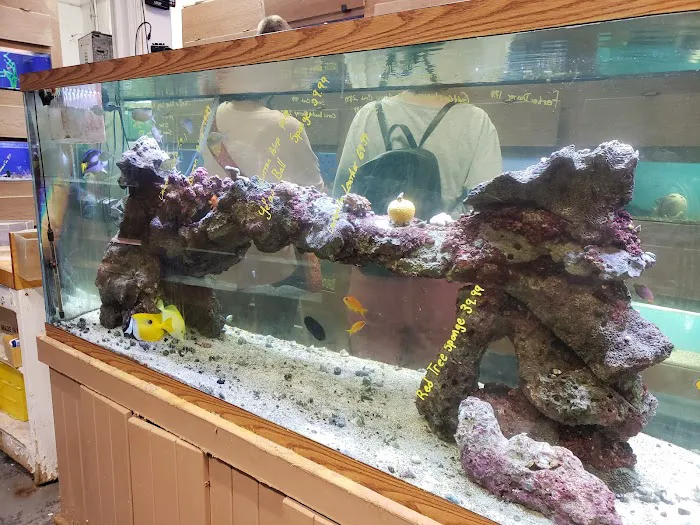 Centreville Aquarium Picture 8