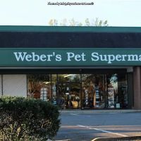 Weber's Pet Supermarket ico