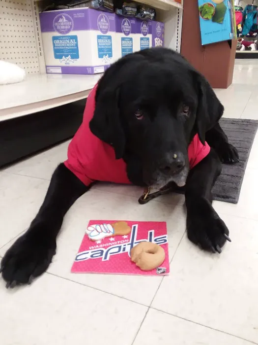 Weber's Pet Supermarket Picture 8