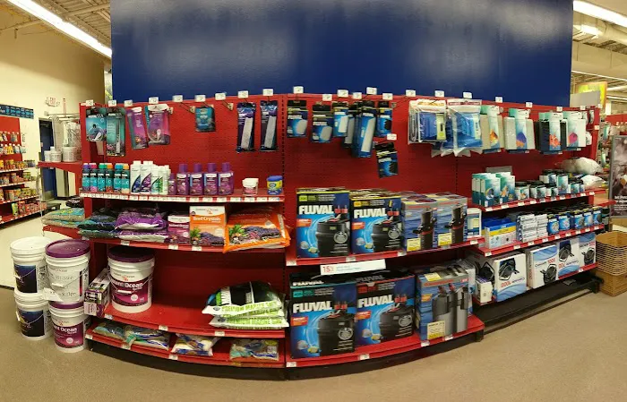 Petco Picture 4