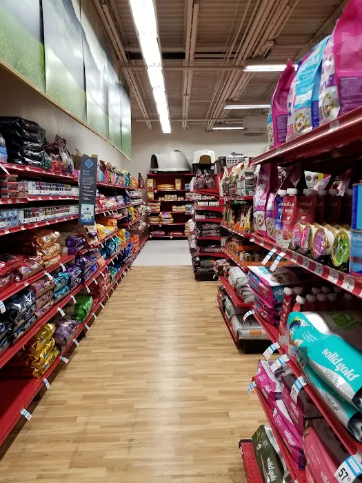 Petco Picture 2