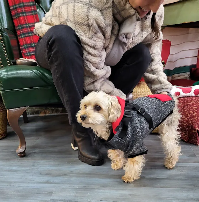 Chico's Natural Pet Market Picture 9
