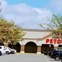 Petco ico