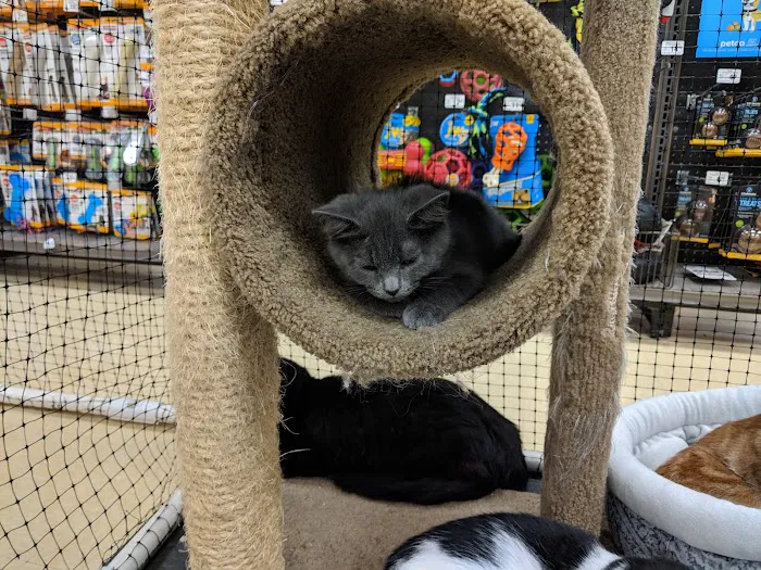 Petco Picture 5