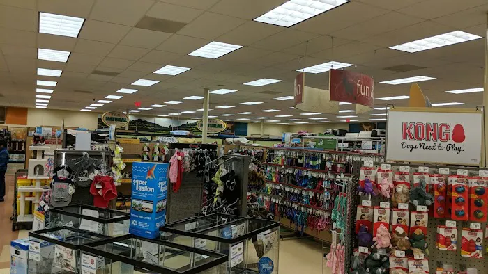 Petco Picture 4