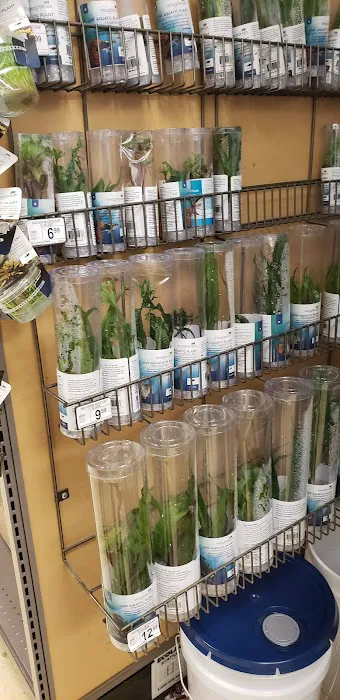 Petco Picture 3