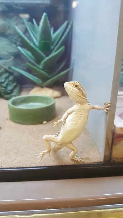 Petco Picture 6
