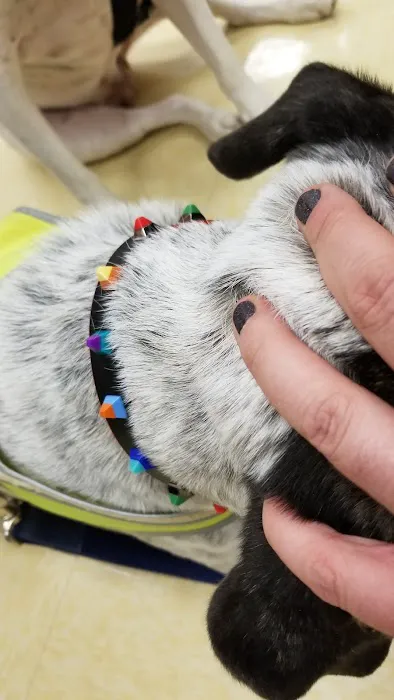 Petco Picture 8