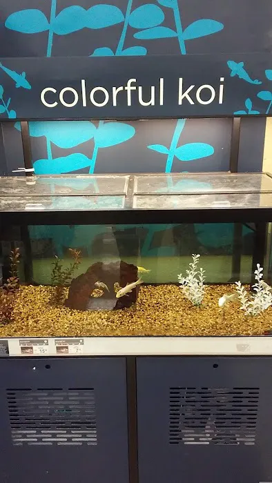 Petco Picture 9