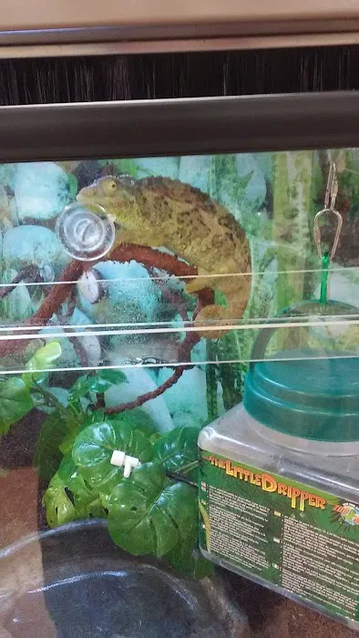 Petco Picture 10