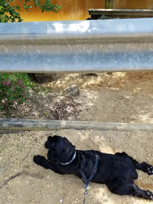 Parker Creek Veterinary Hospital Picture 6
