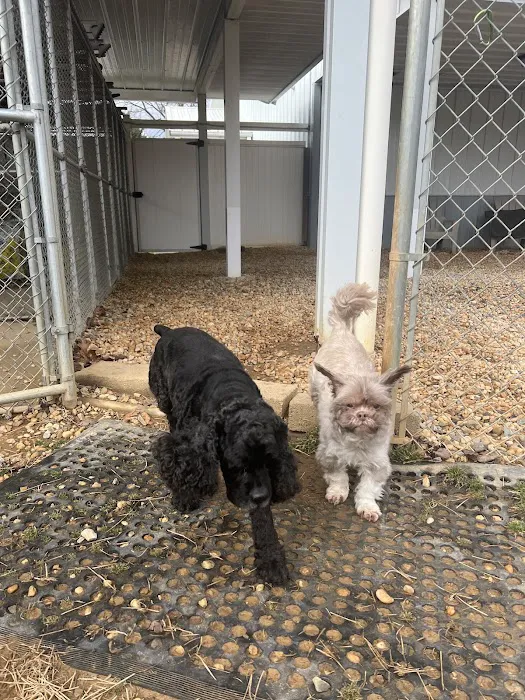 Pet Retreat At Paramount Farms Picture 1