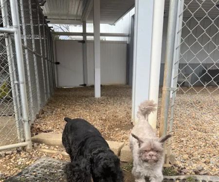 Pet Retreat At Paramount Farms