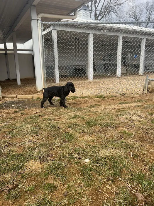 Pet Retreat At Paramount Farms Picture 2