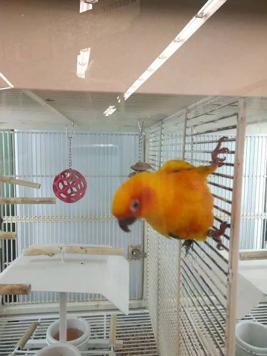 Petco Picture 3