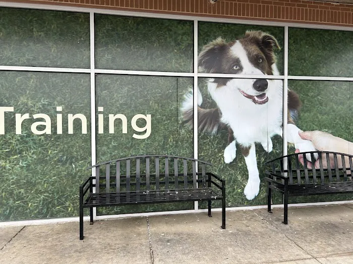 Petco Picture 4