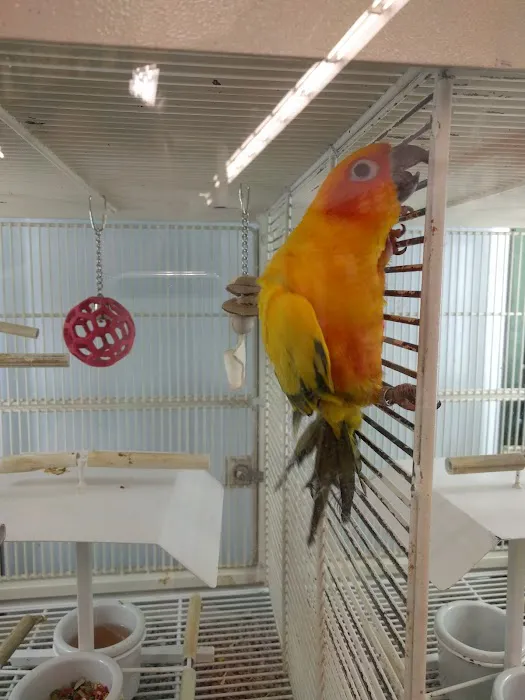 Petco Picture 7
