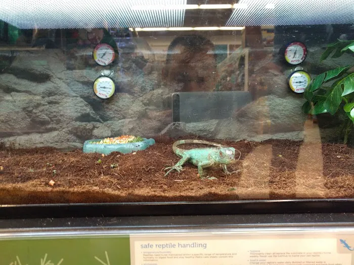 Petco Picture 10