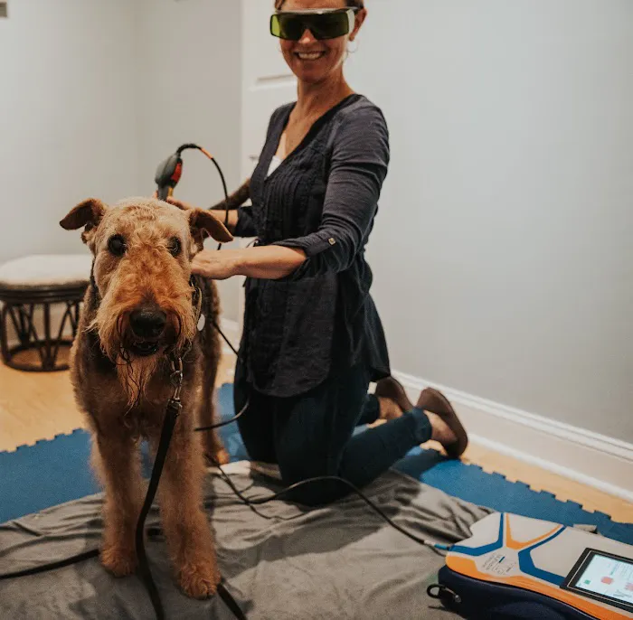 Copper Moon Veterinary Wellness Picture 2