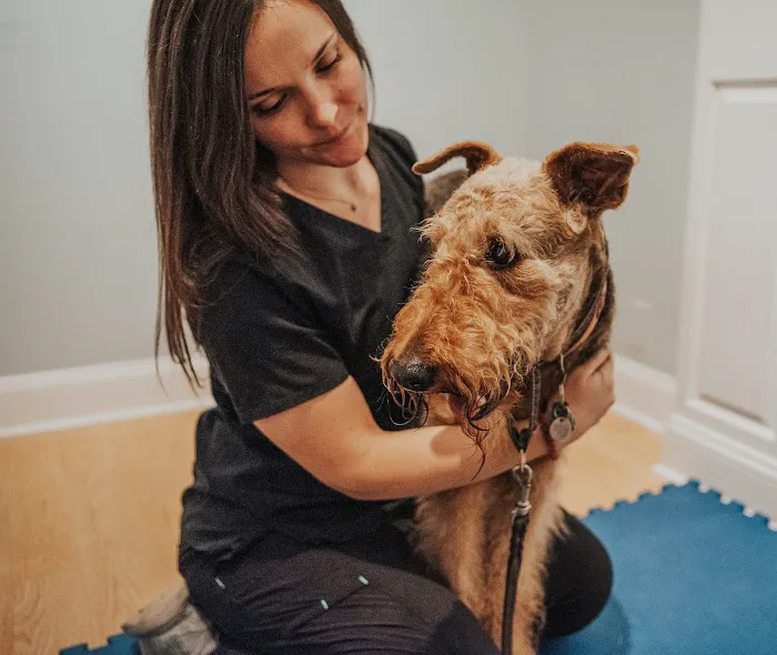 Copper Moon Veterinary Wellness Picture 9