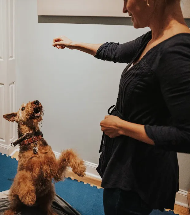 Copper Moon Veterinary Wellness Picture 8