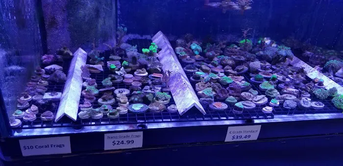 Reef eScape Picture 1
