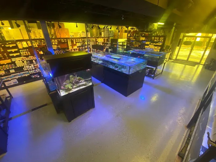 Reef eScape Picture 3
