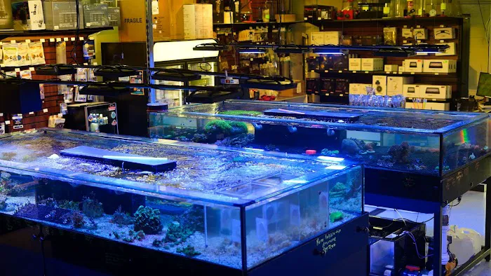 Reef eScape Picture 7