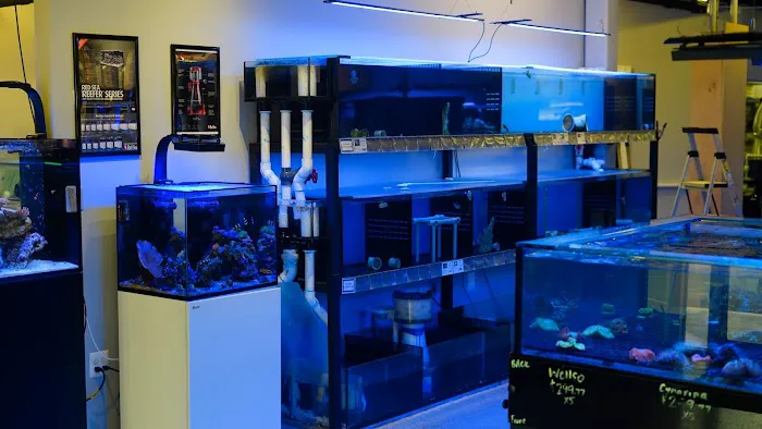 Reef eScape Picture 9