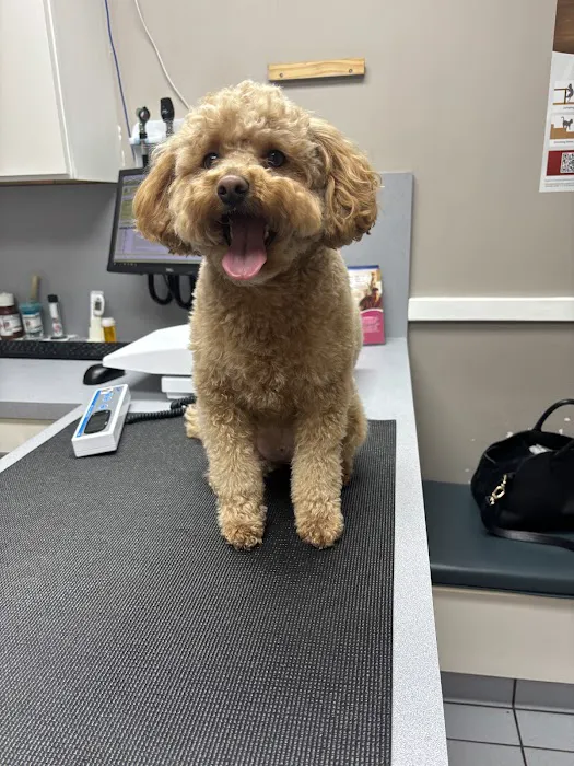 Sayrebrook Veterinary Hospital Picture 6