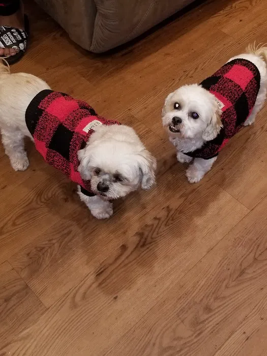 Sayrebrook Veterinary Hospital Picture 7