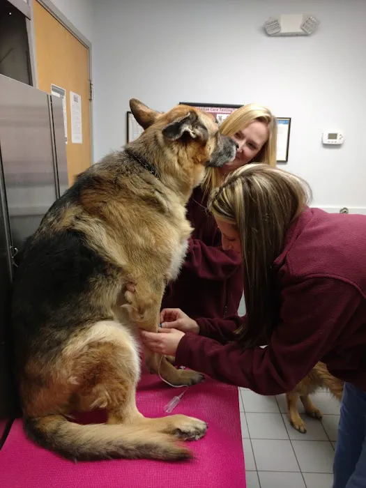 Sayrebrook Veterinary Hospital Picture 10